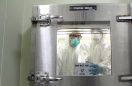 Strain Flu Burung H5N8 di Hong Kong Ditemukan untuk Pertama Kalinya